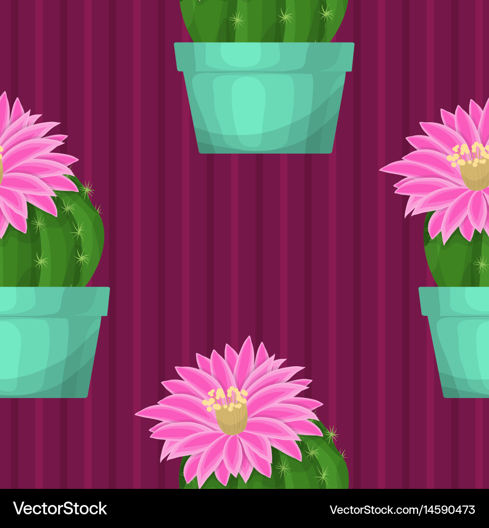 Seamless pattern with cactus vector image