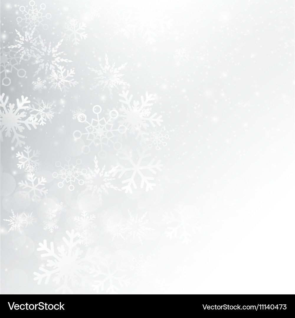 Snow fall with bokeh abstract grey background vector image