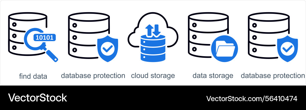 A set of 5 business icons as find data database Vector Image