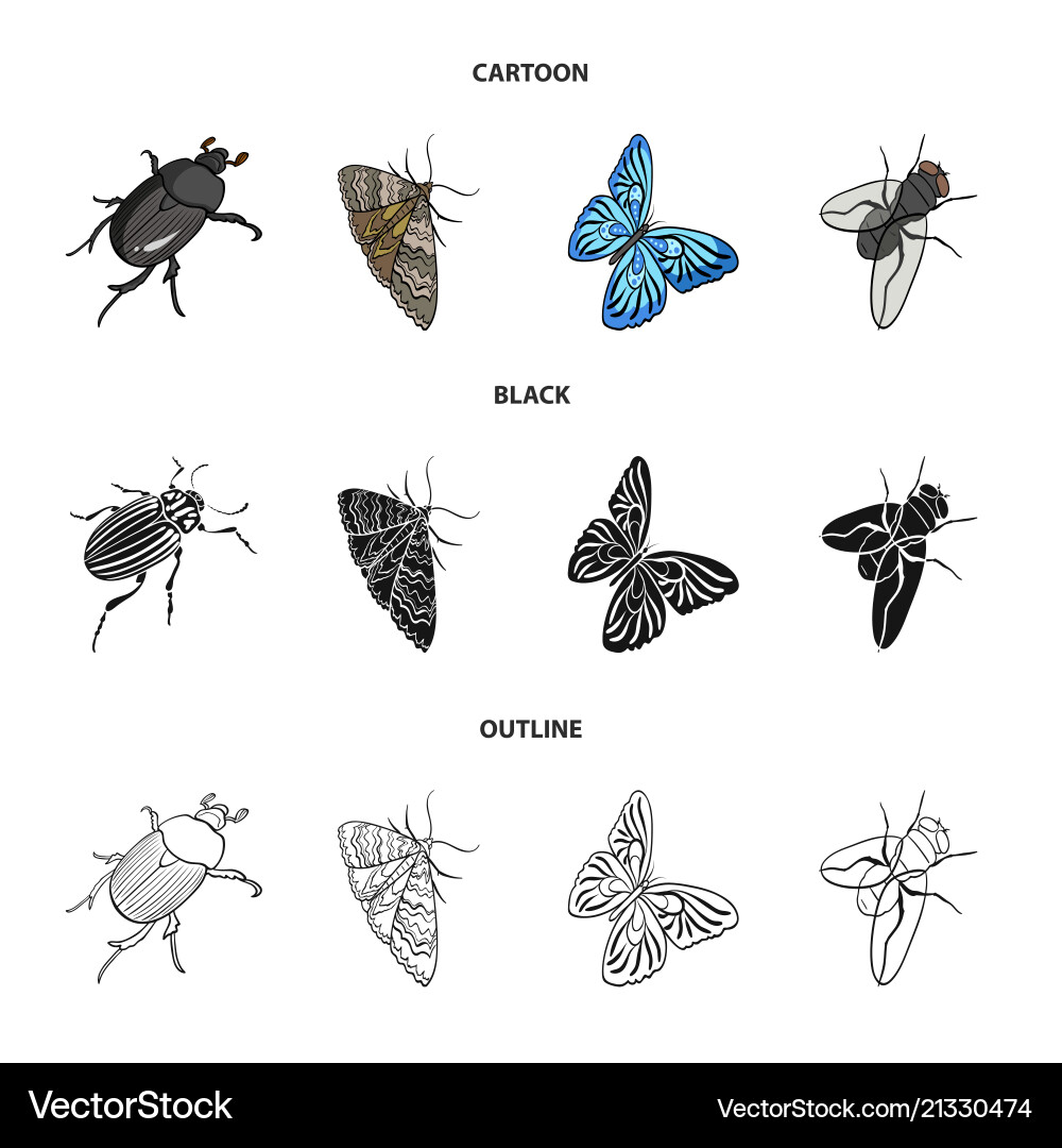 Arthropods insect beetle moth butterfly fly Vector Image