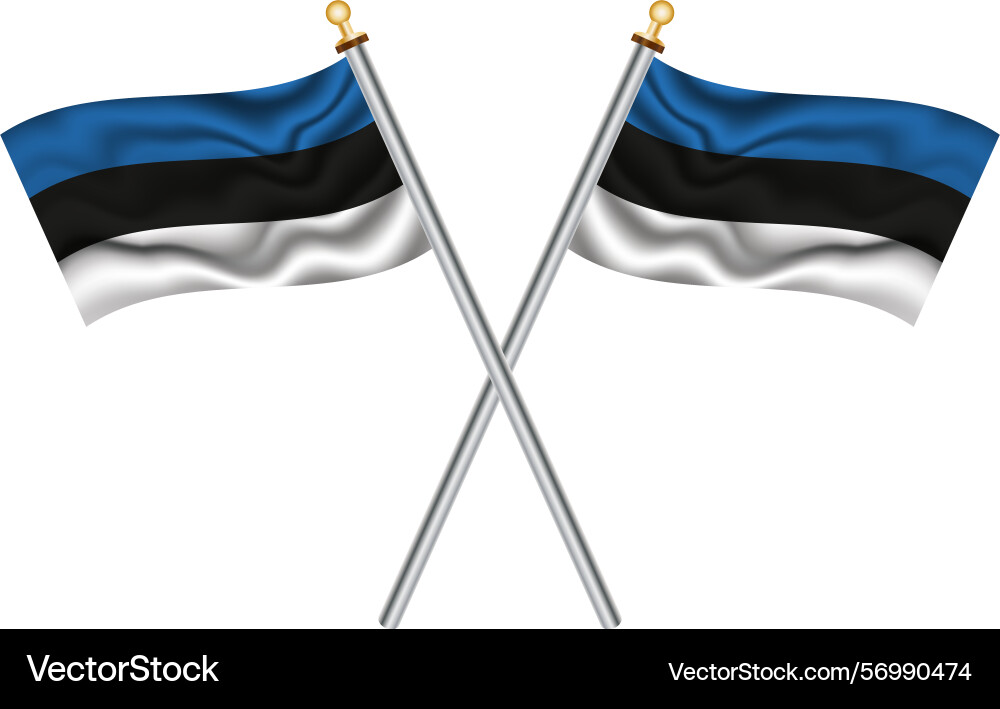 Two crossed national flags of estonia Vector Image