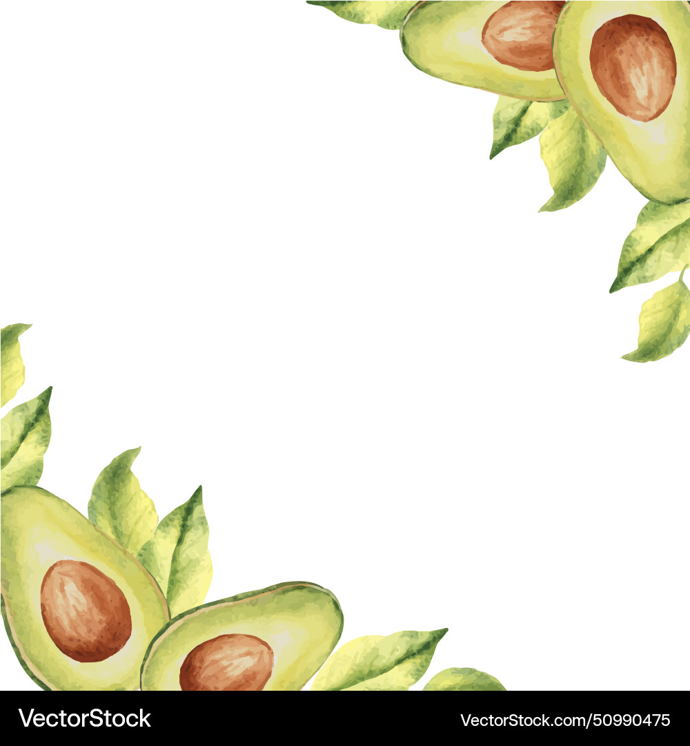 Avocado square frame border corner compositions Avocado square frame border corner compositions vector image