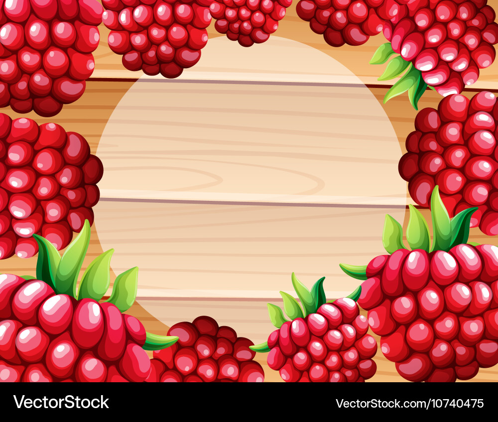 Frame design with raspberries Vector Image