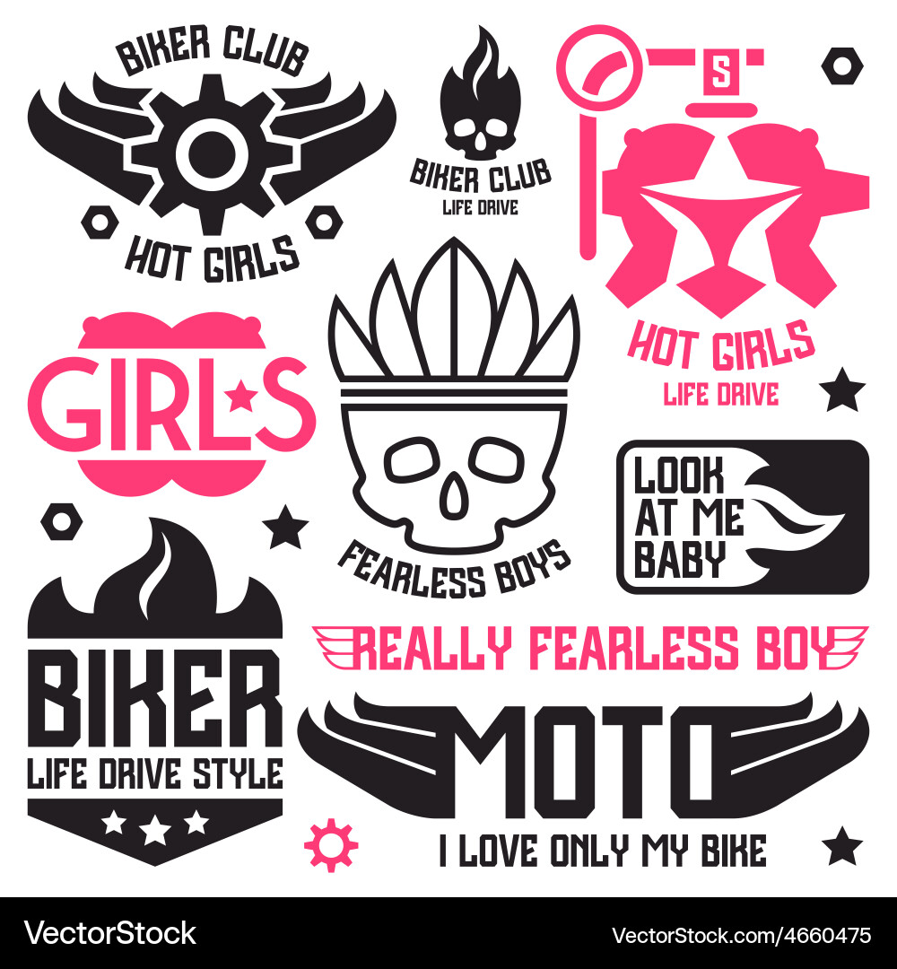 Vinyl stickers on car Vector Image