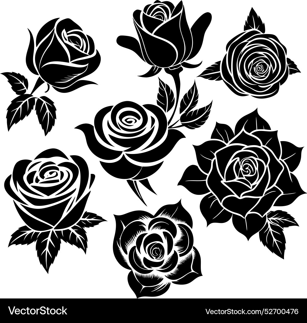 Silhouette rose collection Royalty Free Vector Image