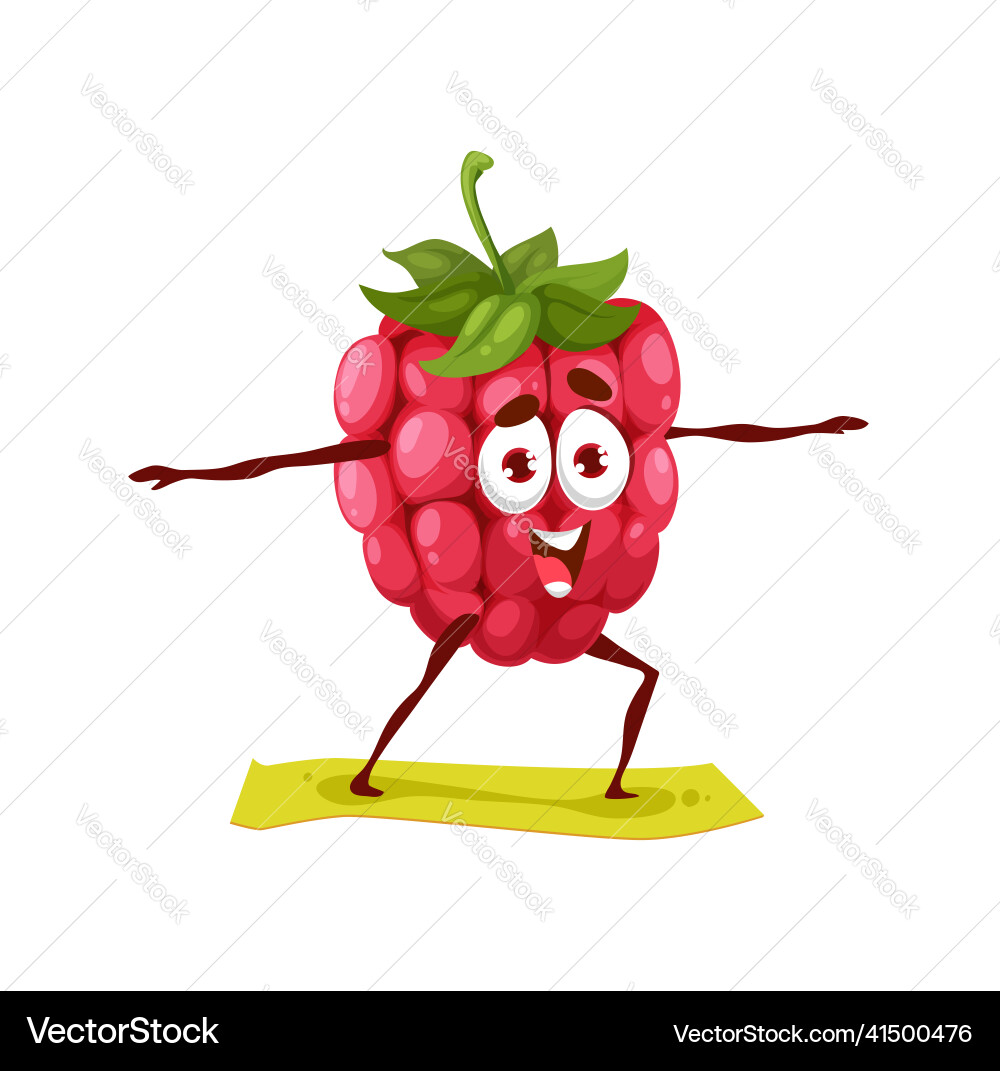 Smiling Raspberry Yogi vector image