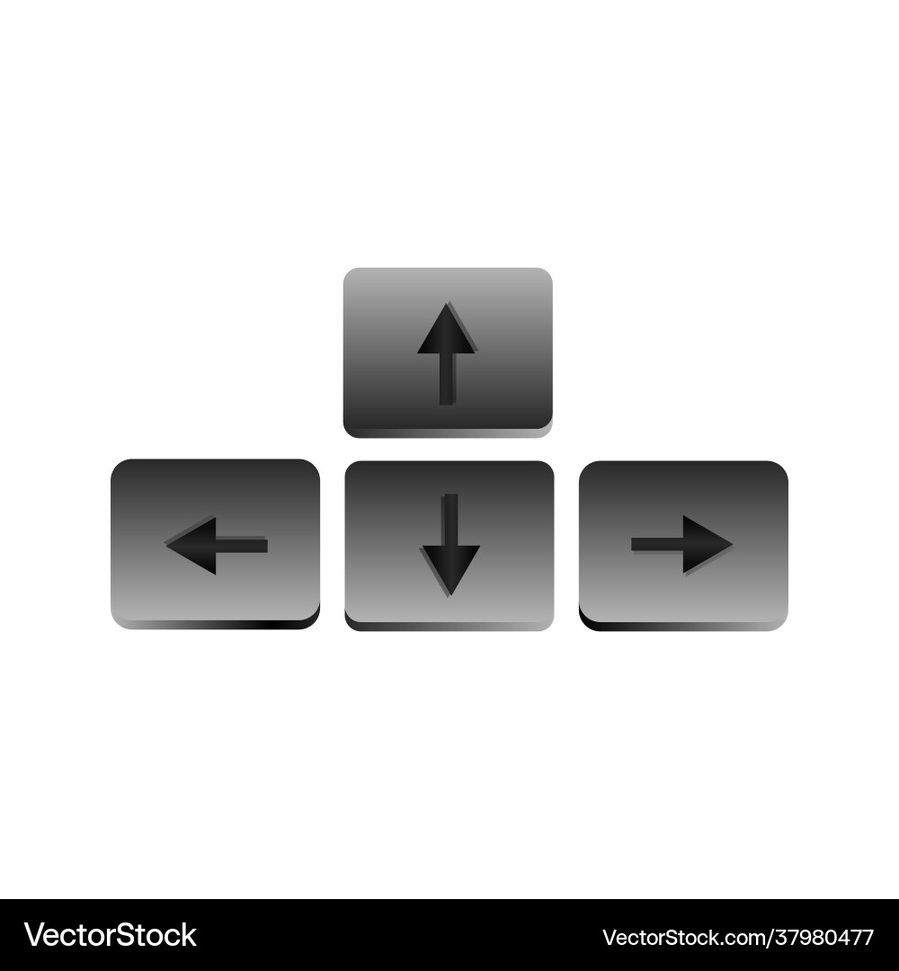 Arrow button on keyboard icon isolated white vector image