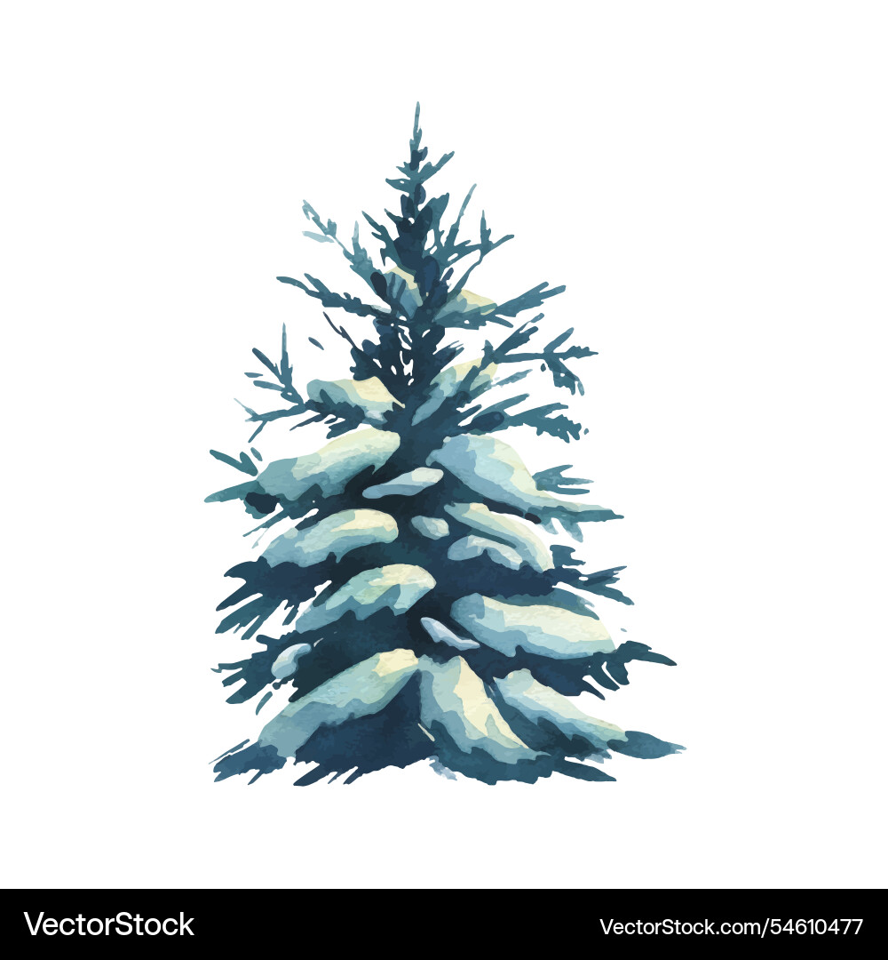 Tree evergreen fir with spreading branches Tree evergreen fir with spreading branches vector image