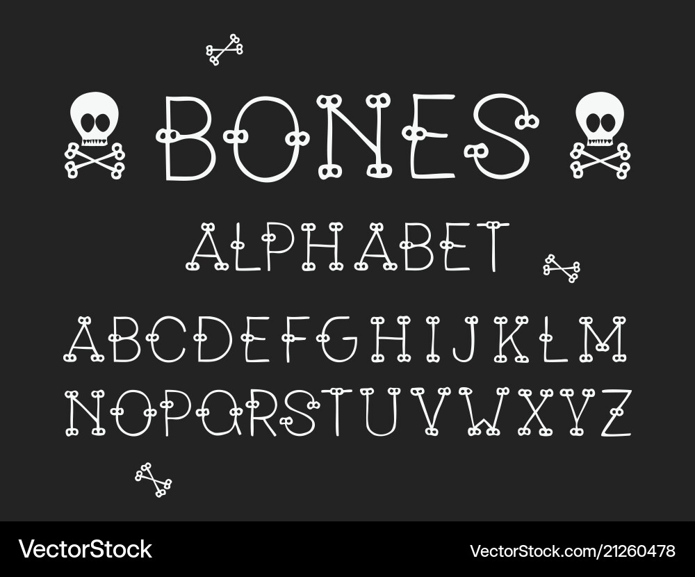 Bones regular font alphabet Bones regular font alphabet vector image