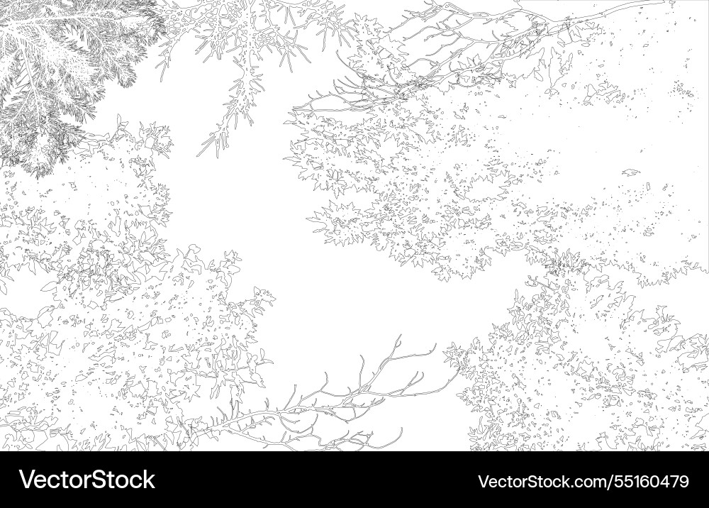 Frame with copy space contour deciduous tree Frame with copy space contour deciduous tree vector image