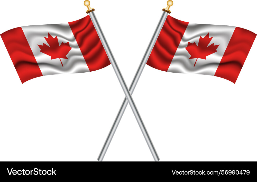 Two crossed national flags of canada Two crossed national flags of canada Vector Image