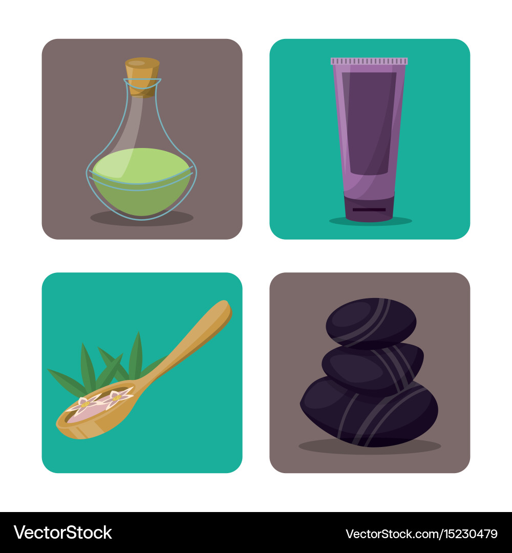 White background with frames spa elements vector image