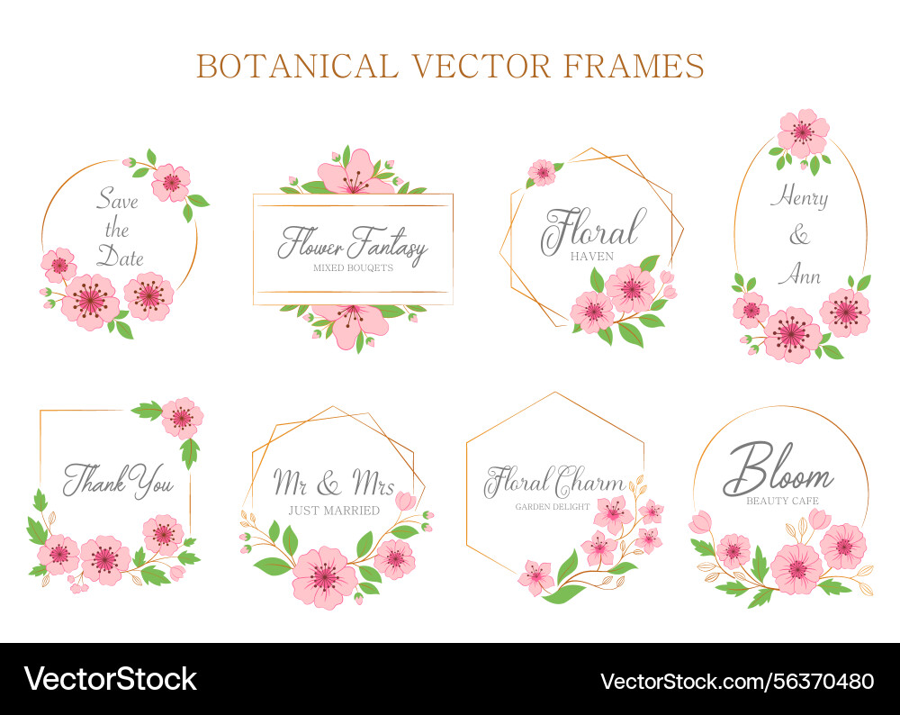 Set of pink sakura botanical frames with text Vector Image