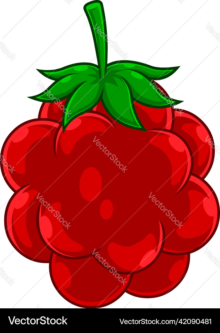 Cartoon Raspberry Fruit Vector Image
