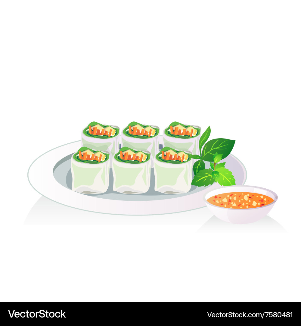 Vietnamese Spring Rolls vector image