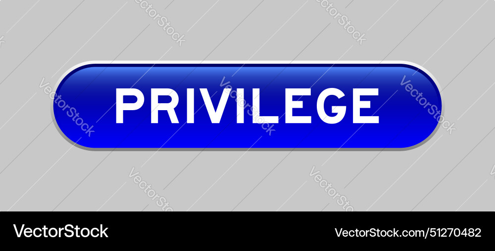 Blue color capsule shape button with word Blue color capsule shape button with word vector image