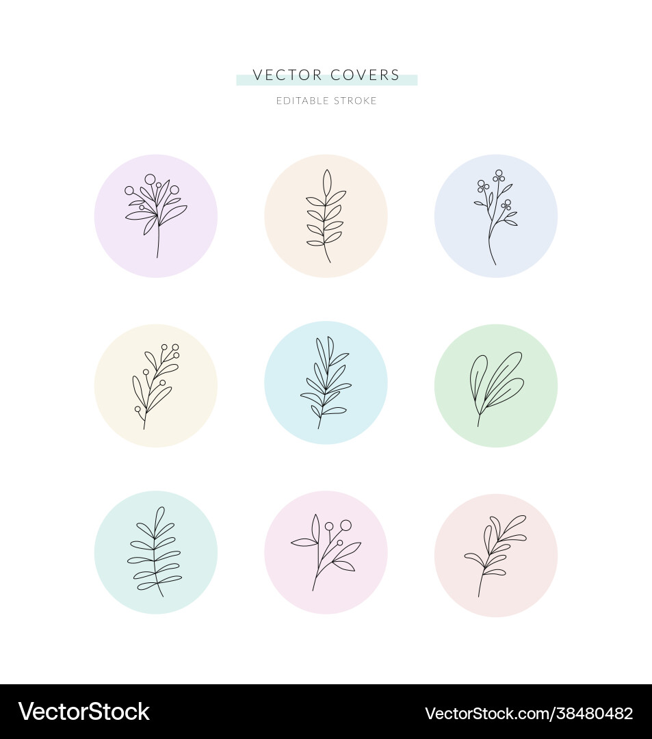 Different botanical design elements Vector Image