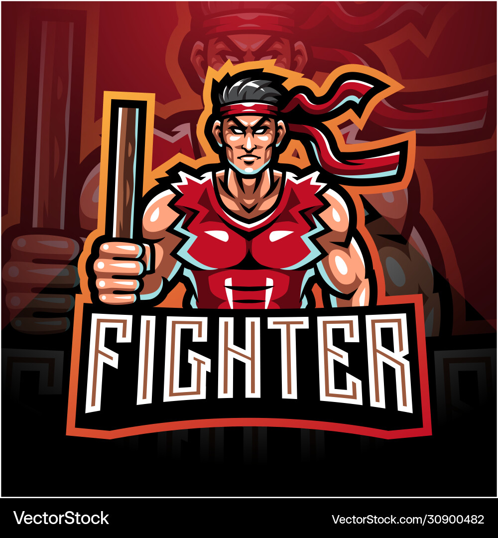Martial Arts Fighter Mascot Logo vector image