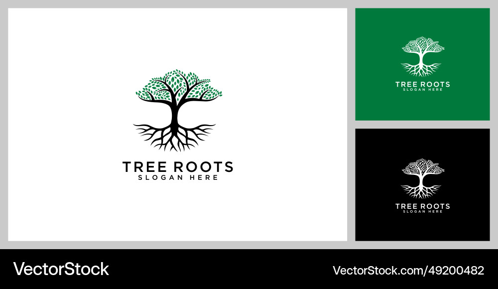 Tree & Root Logo Template vector image