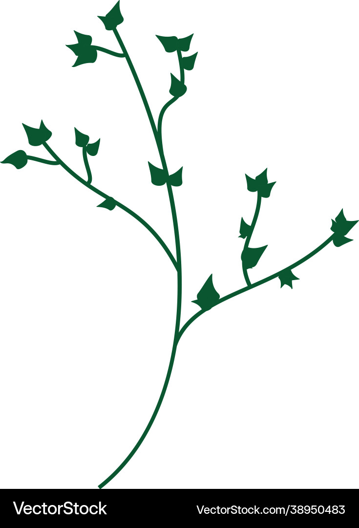 Isolated green branch with sharp leaves Isolated green branch with sharp leaves Vector Image