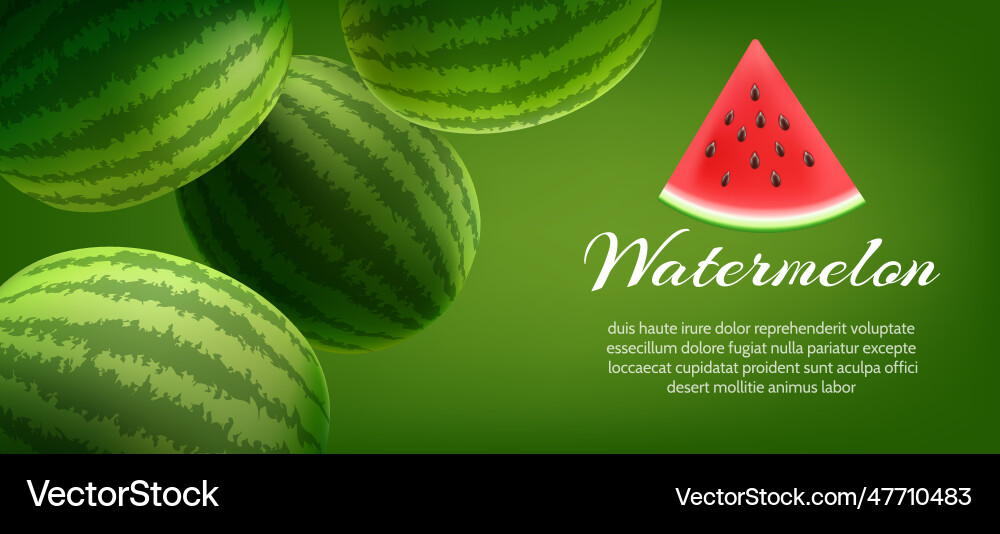 Ripe watermelon poster Royalty Free Vector Image