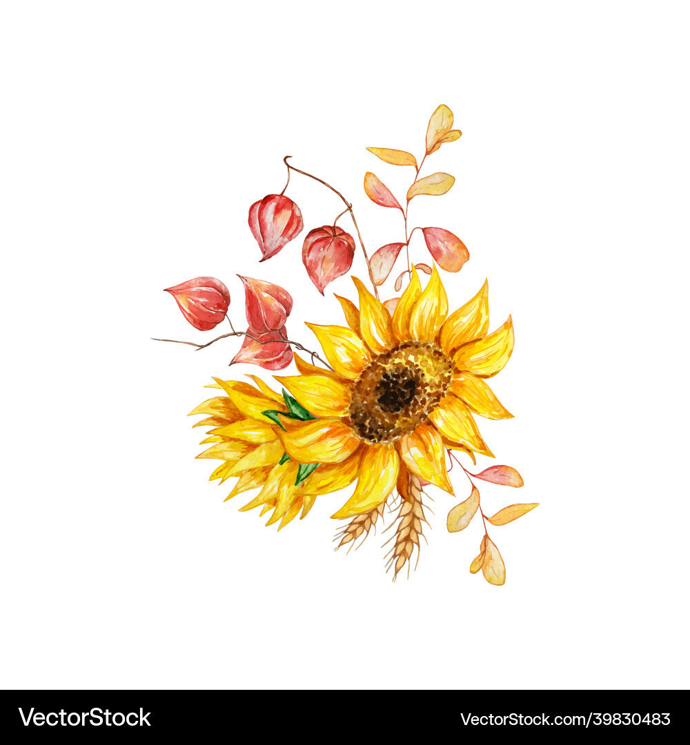 Watercolor Autumn Floral Bouquet Vector Image