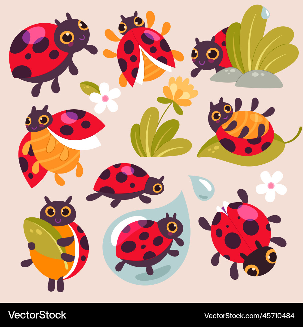 Funny ladybirds or wildlife insects cute Funny ladybirds or wildlife insects cute vector image