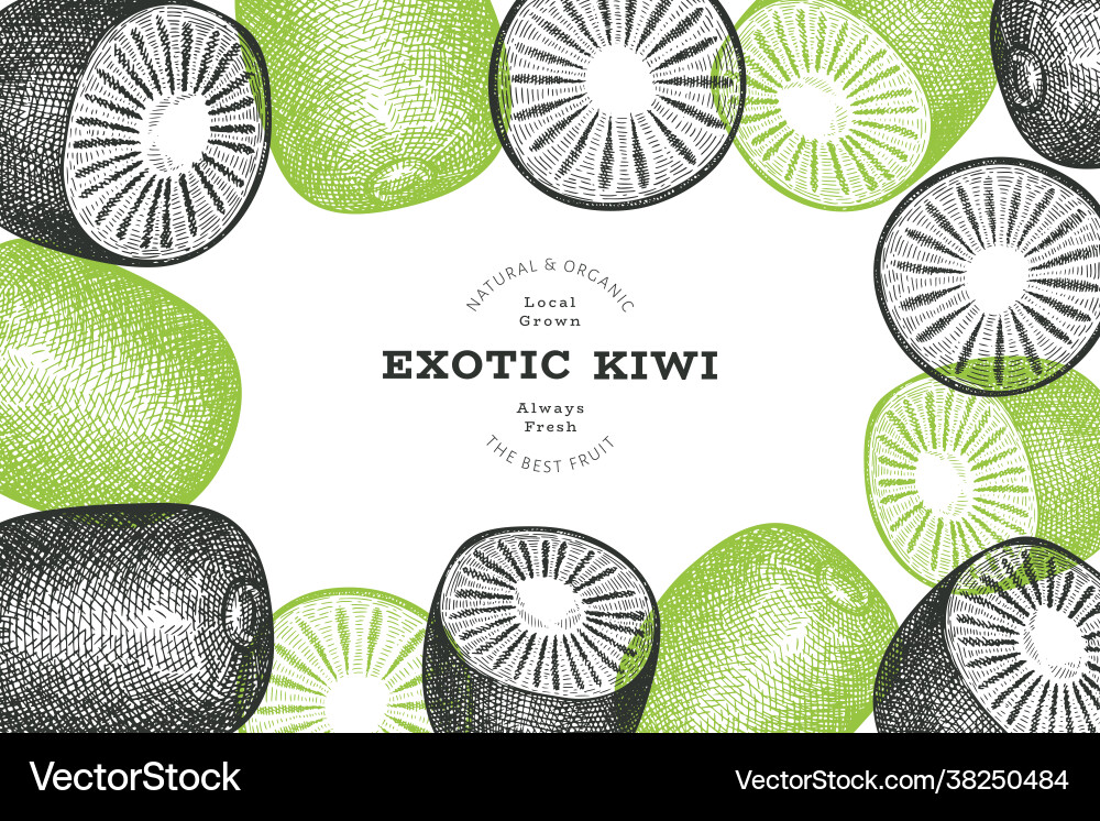Hand drawn sketch style kiwi banner organic fresh Hand drawn sketch style kiwi banner organic fresh vector image