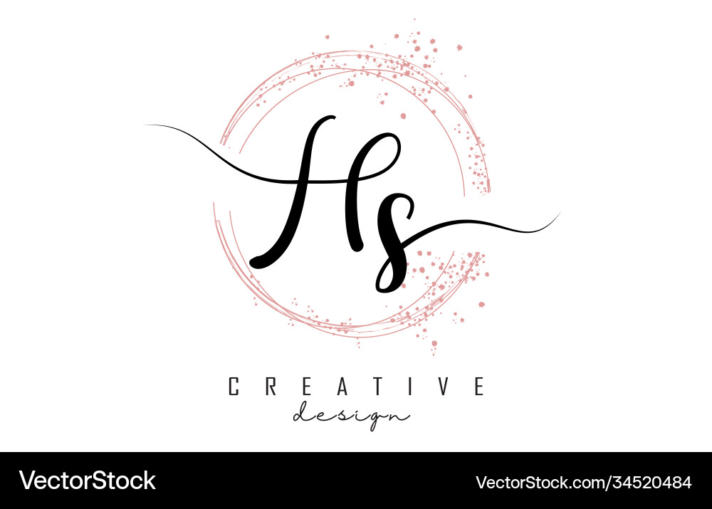 Handwritten hs h s letter logo with sparkling Vector Image