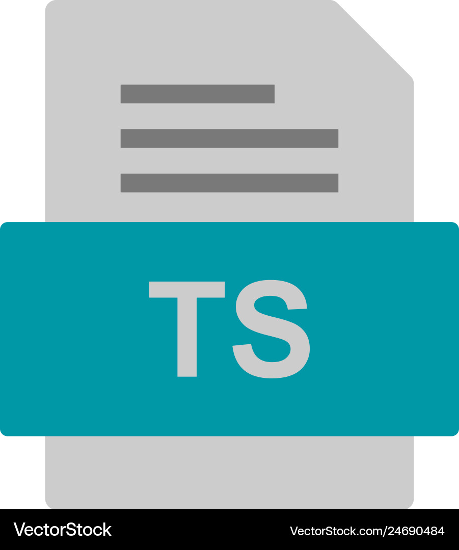 Ts file document icon Vector Image