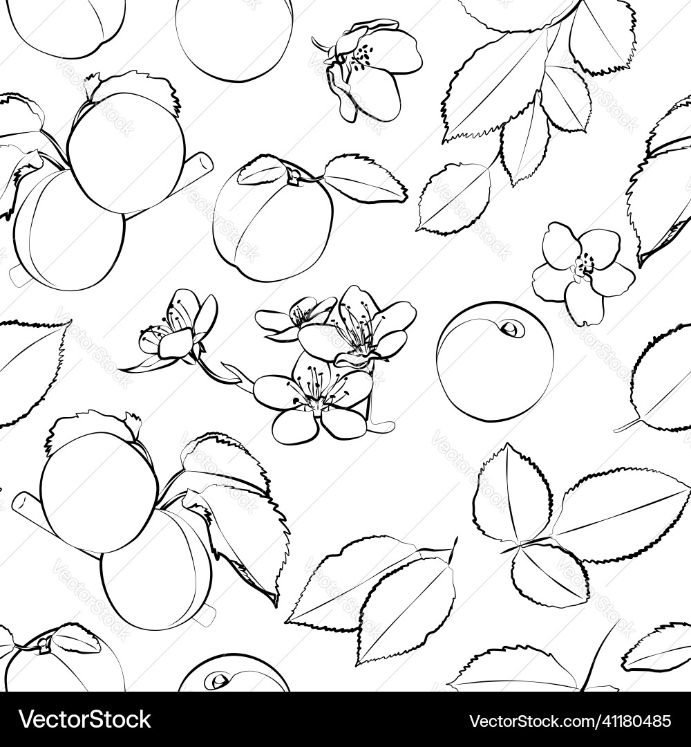 A set of seamless patterns apricots A set of seamless patterns apricots vector image