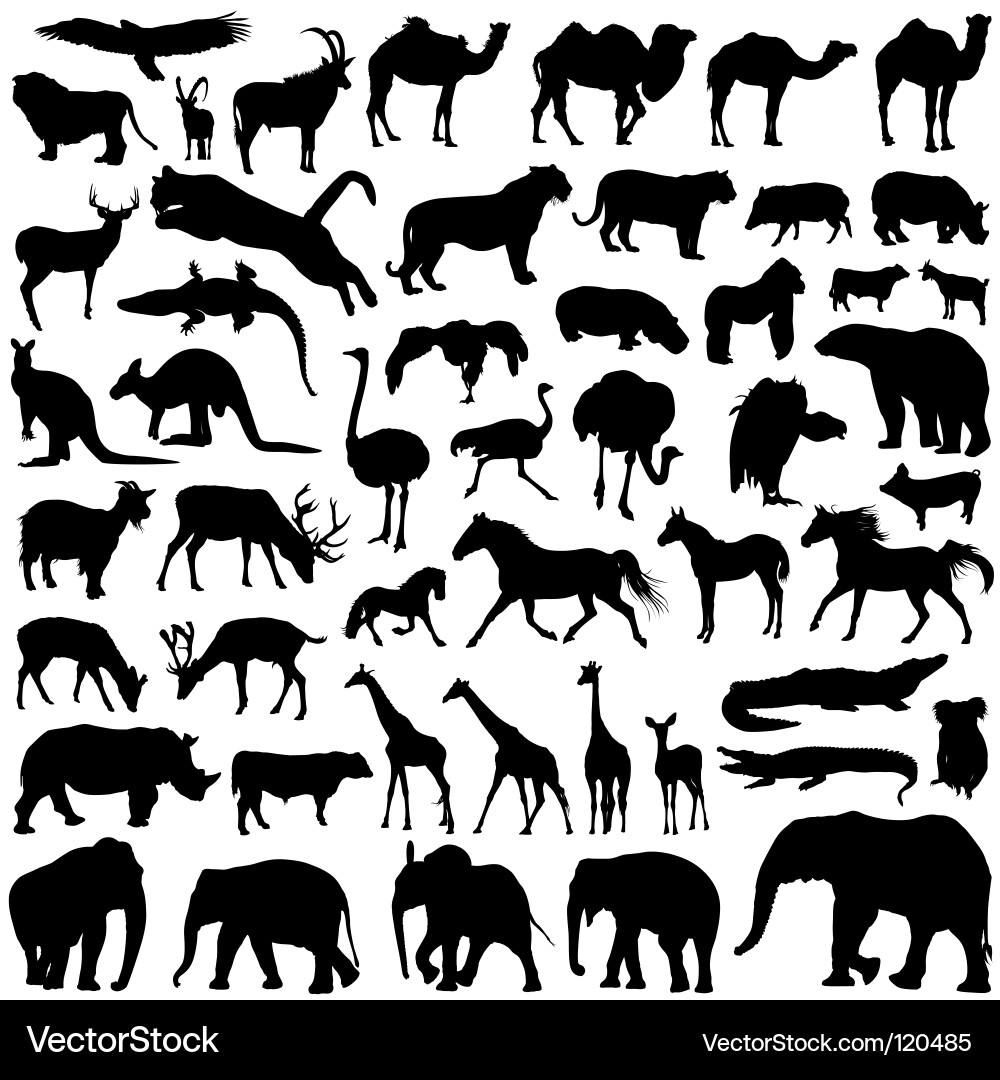 Animal Silhouettes Collection vector image
