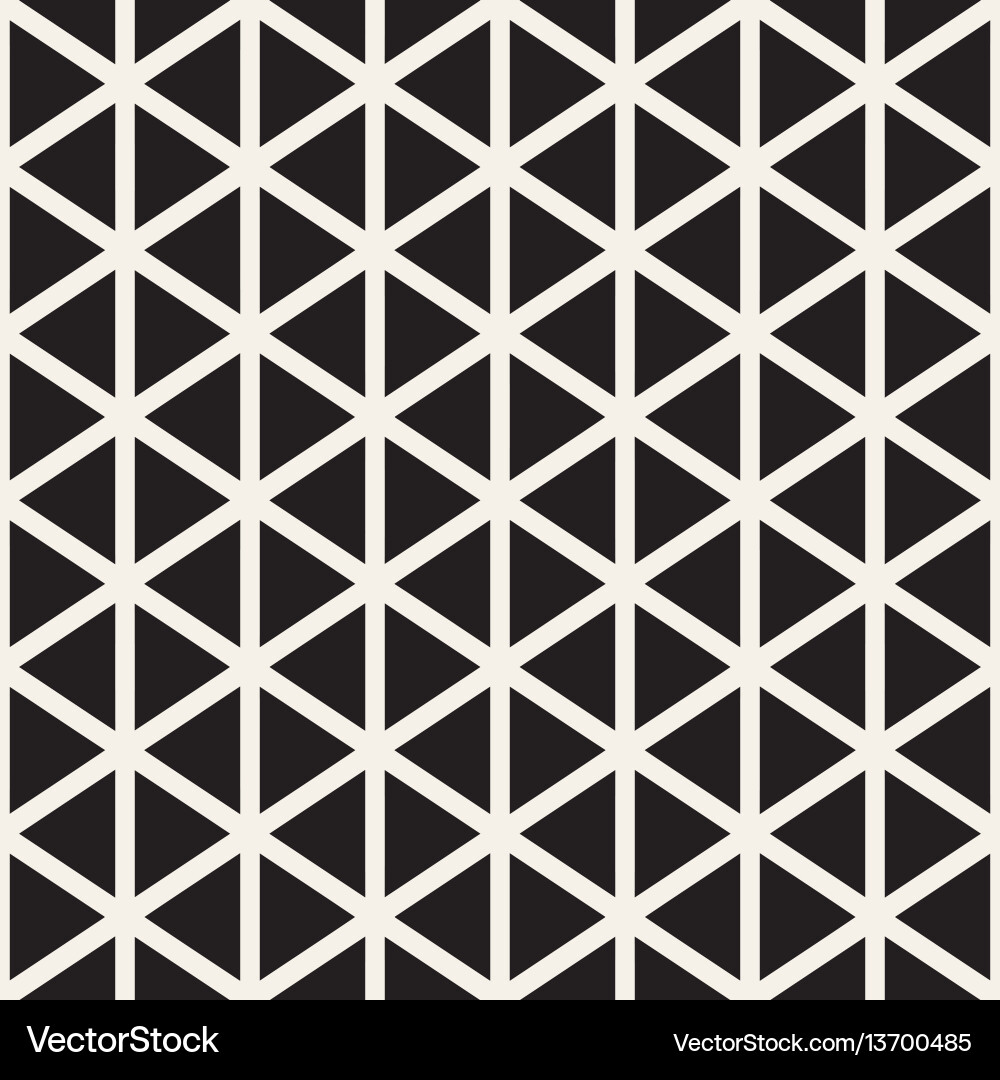 Stylish minimalistic triangle shape lines grid vector image