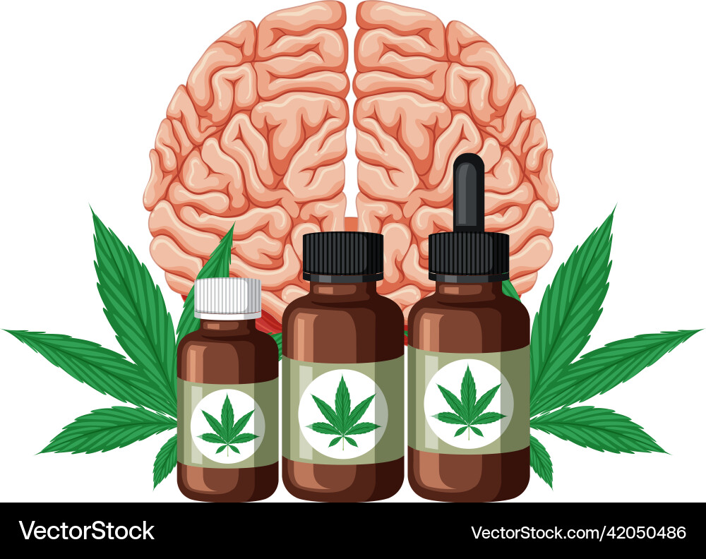 Cannabismedizin und menschliches Gehirn Cannabismedizin und menschliches Gehirn vektorbild