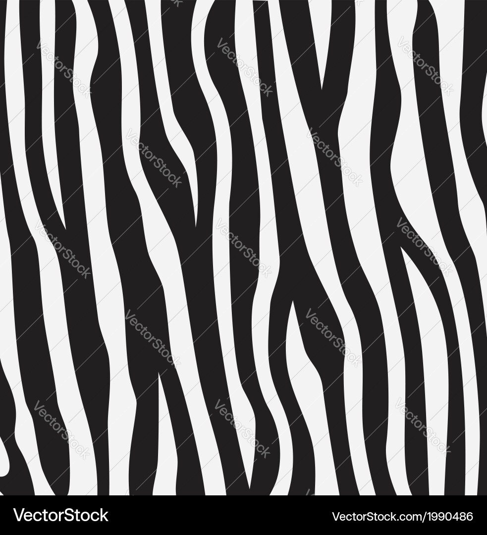 Zebra Print Texture vector image