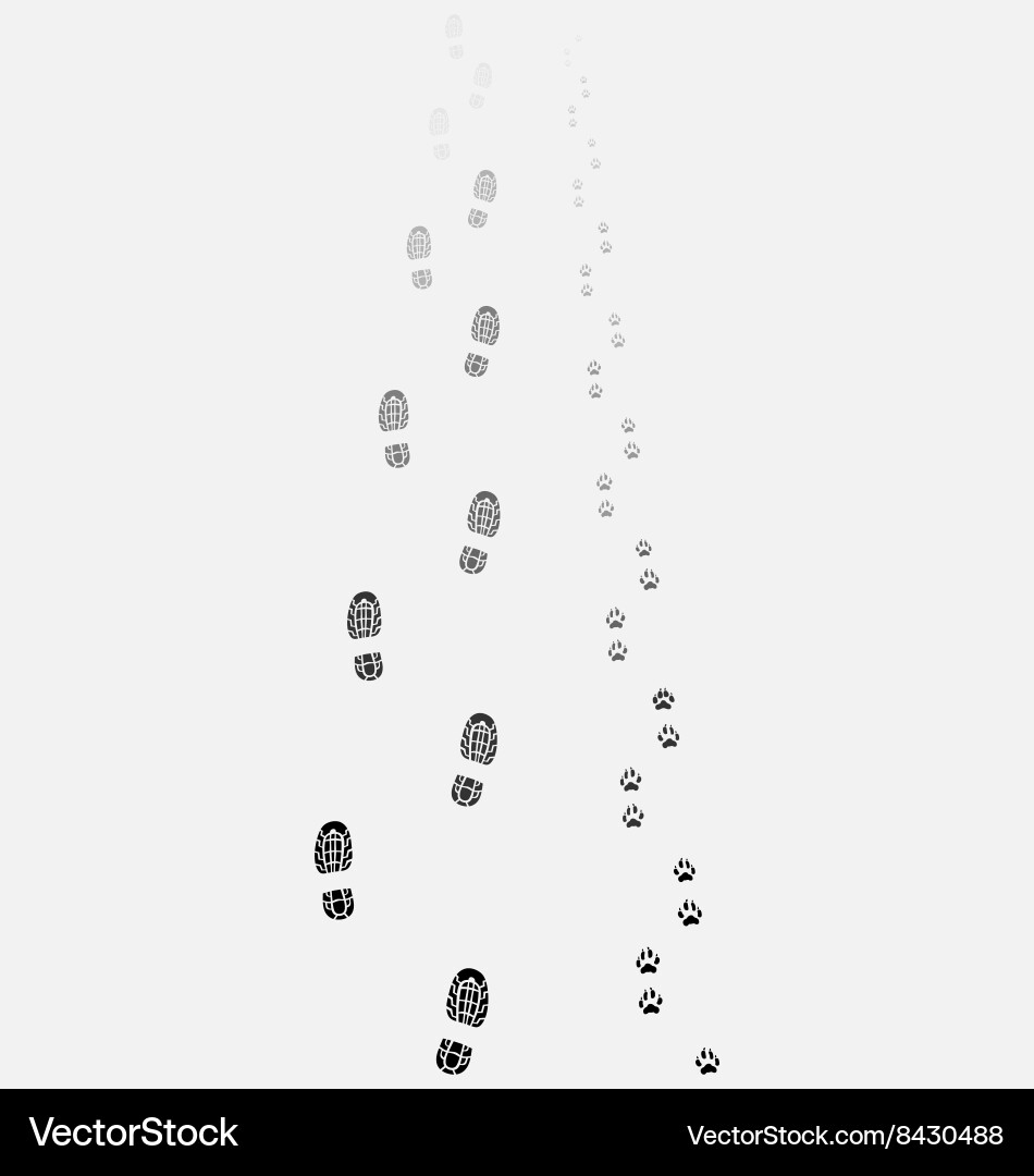 Footprints of man and dog Vector Image