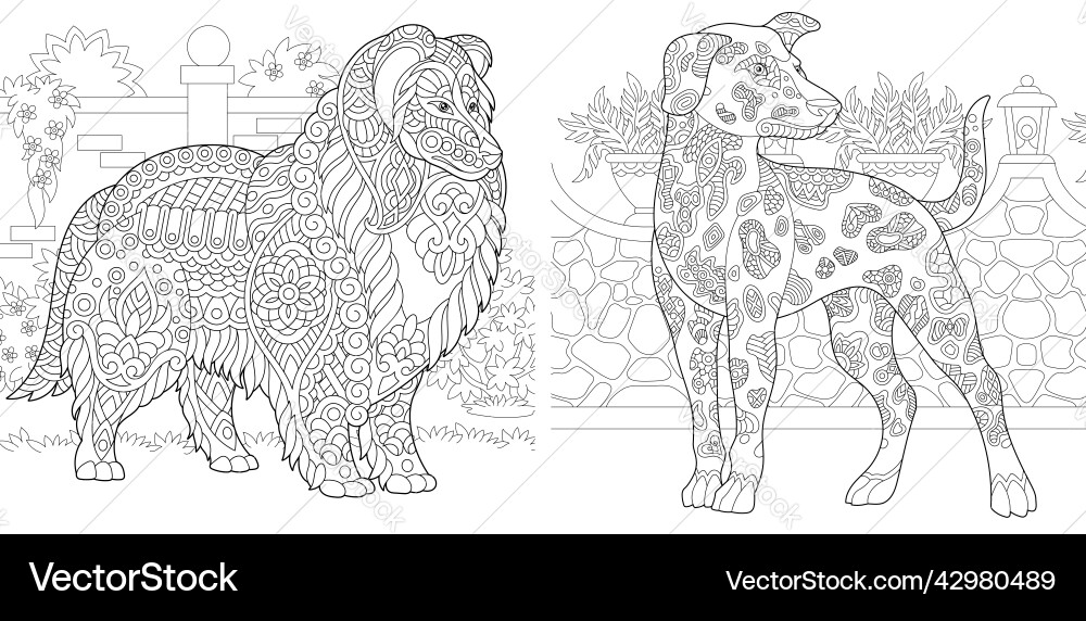 Coloring pages with collie and dalmatian dogs Coloring pages with collie and dalmatian dogs vector image