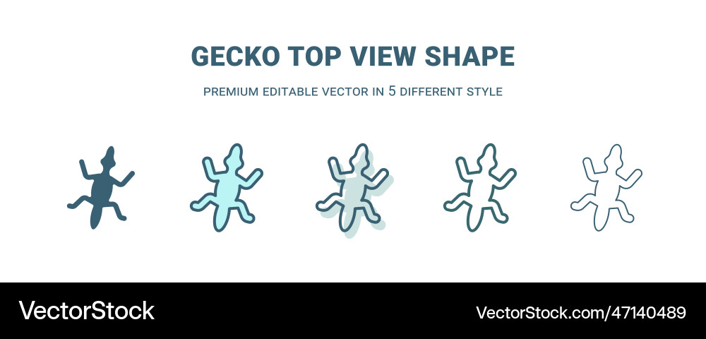 Gecko top view shape icon in 5 different style Gecko top view shape icon in 5 different style vector image
