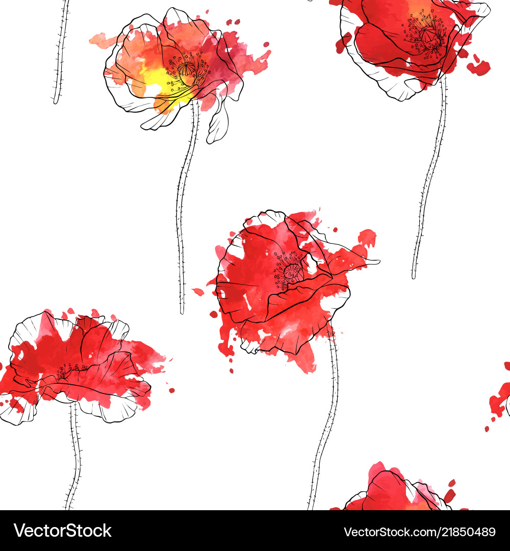 Seamless pattern with drawing poppy flowers Seamless pattern with drawing poppy flowers vector image