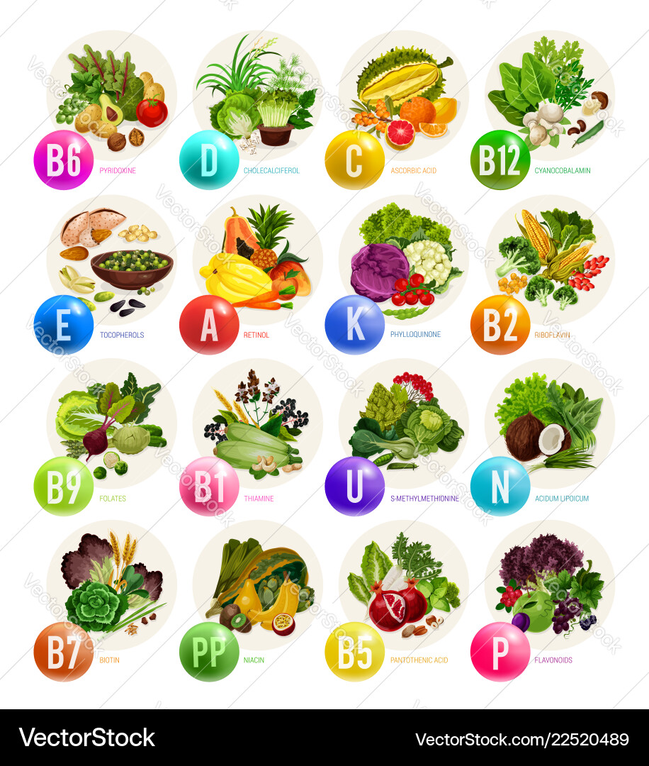 Vitamins in fruits nuts and vegetables Vitamins in fruits nuts and vegetables vector image
