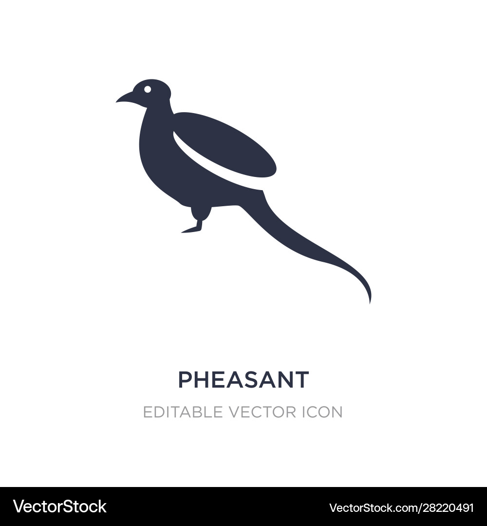 Pheasant icon on white background simple element Pheasant icon on white background simple element vector image
