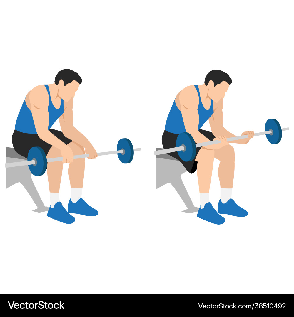 Man doing seated palm down wrist curls exercise Man doing seated palm down wrist curls exercise vector image
