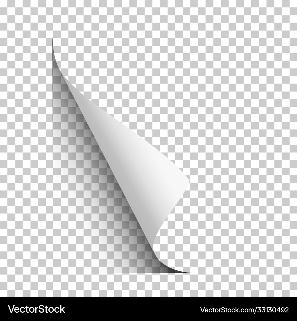 Page lower left curl with shadow on blank vector image