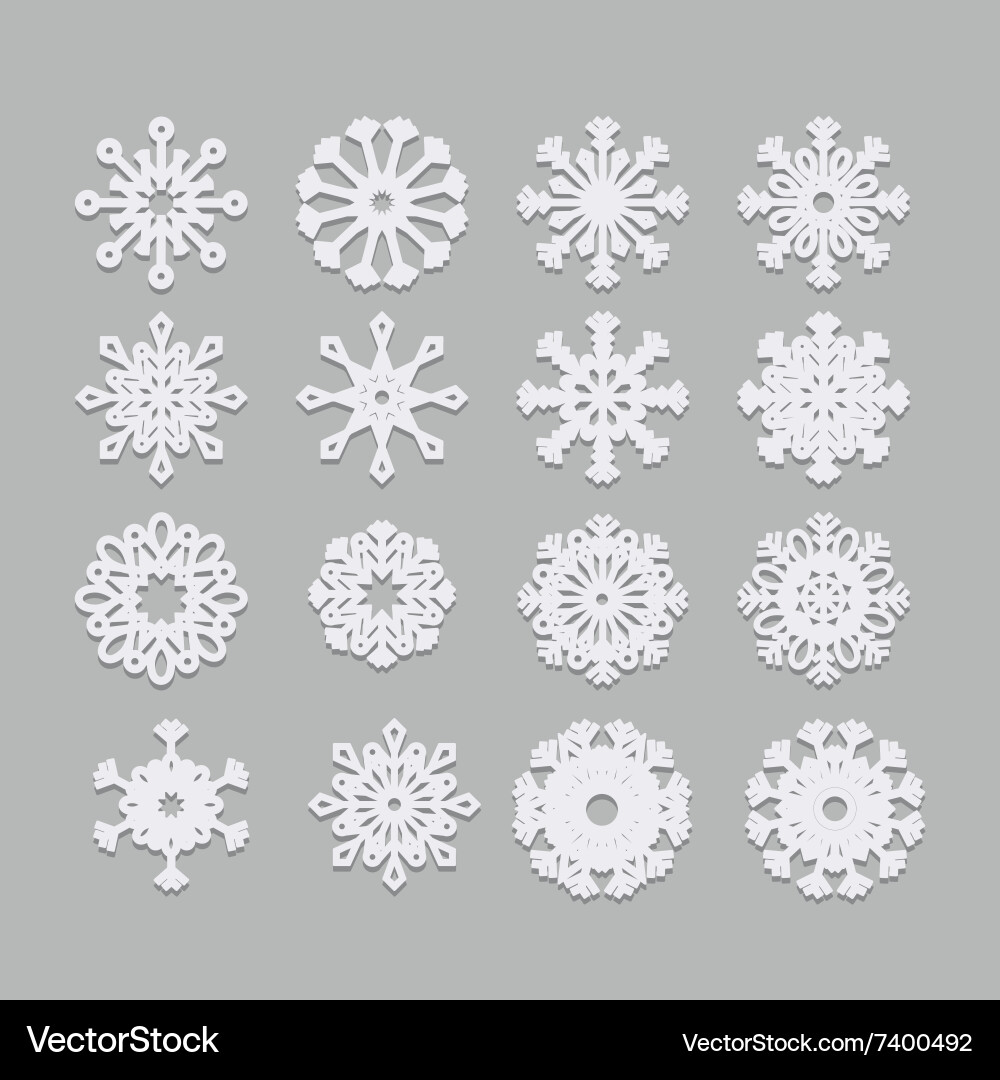 Snowflake concept design vector image