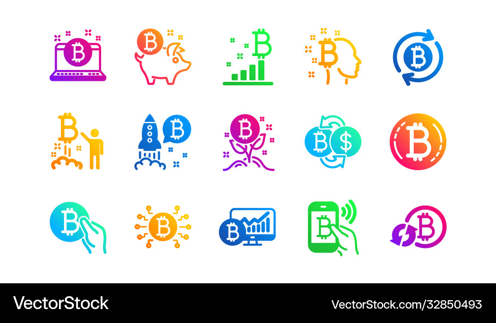 Bitcoin icons blockchain crypto ico Vector Image