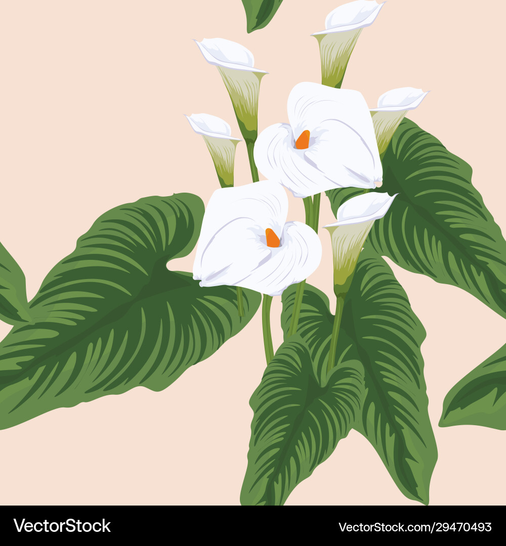 Elegant Calla Lily Pattern Vector Image