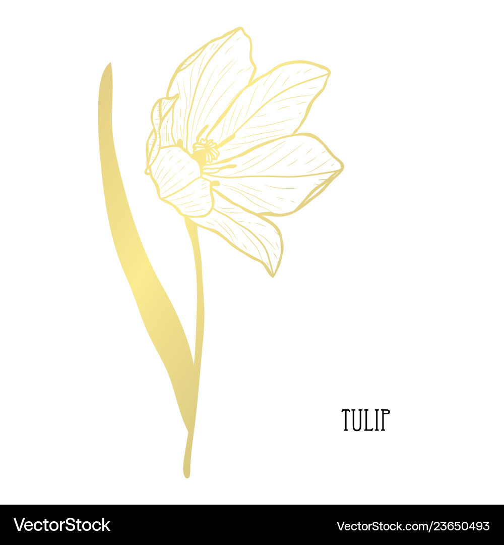 Golden floral decoration Golden floral decoration vector image