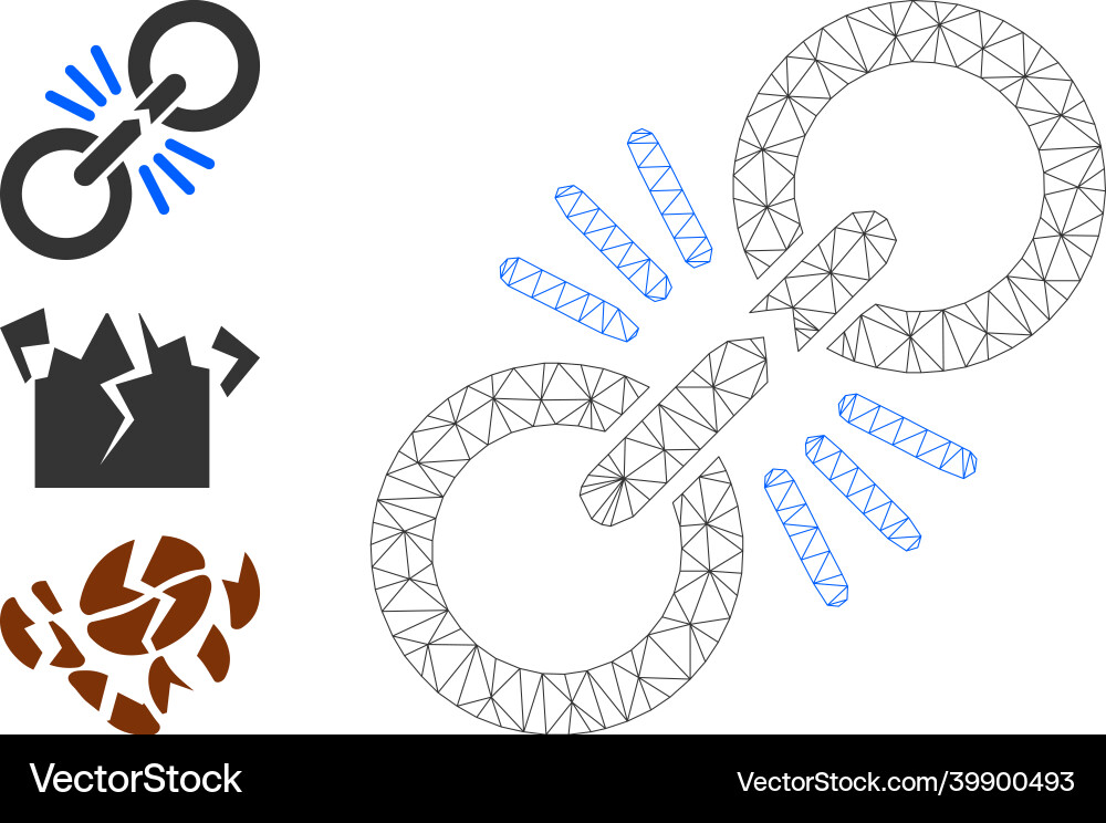 Web mesh damage chain link icon and bonus Web mesh damage chain link icon and bonus vector image