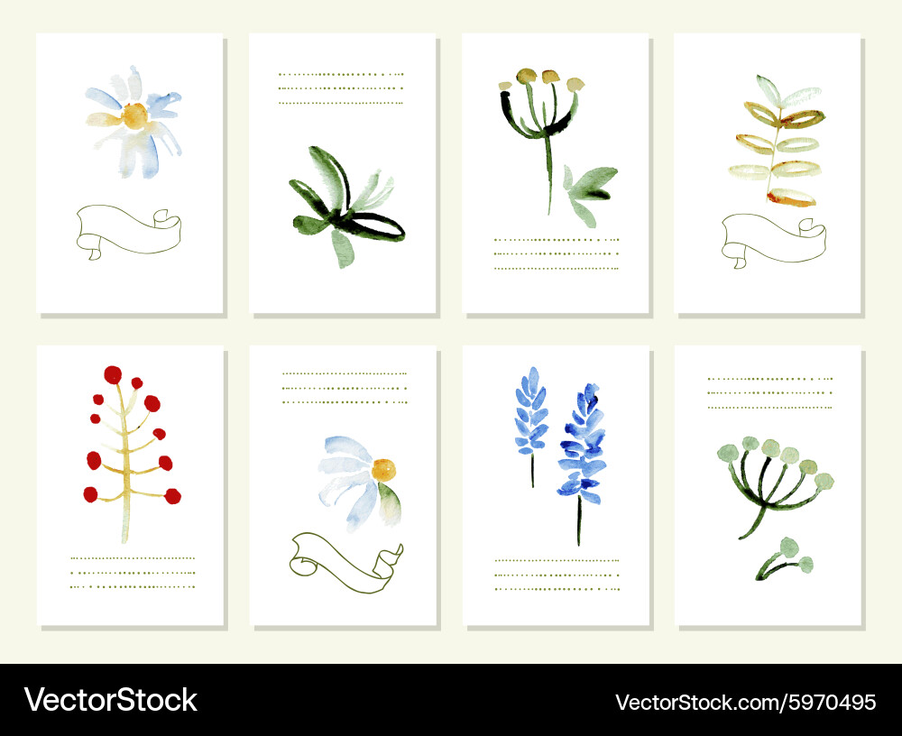Hand gezeichnete Sammlung von romantischen Blumen Vektorbild