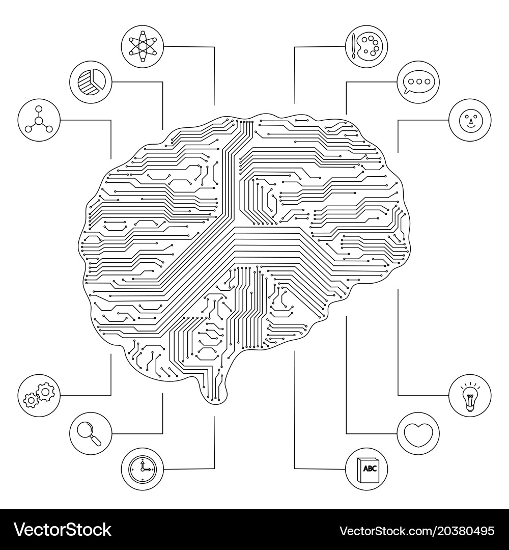 Left and right brain functions concept Vector Image